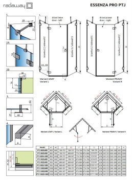 Radaway Essenza Pro Brushed Gold PTJ kabina prysznicowa 100x100 cm złoty szczot/szkło przezr 10100000-99-01R/10100300-01-01