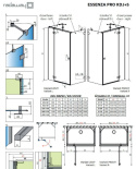 Radaway Essenza Pro Gold KDJ+S drzwi prysznicowe 100 cm prawe złoty połysk/szkło przezroczyste 10097310-09-01R