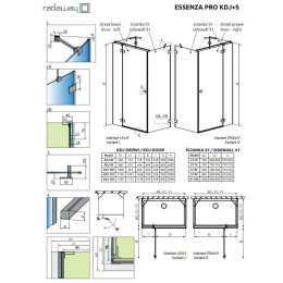 Radaway Essenza Pro Gold KDJ+S drzwi prysznicowe 120 cm lewe złoty połysk/szkło przezroczyste 10097312-09-01L