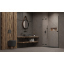 Radaway Essenza Pro Brushed Gunmetal DWJ drzwi prysznicowe 120 cm wnękowe lewe gunmetal szczotko/szkło przezrocz 10099120-92-01L